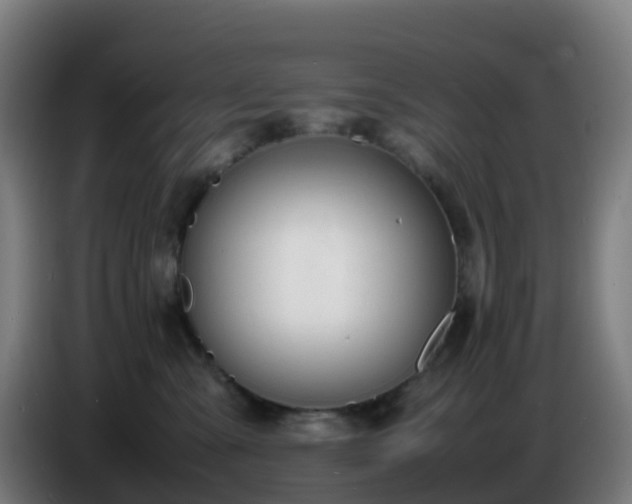 X0000086720427200704201630