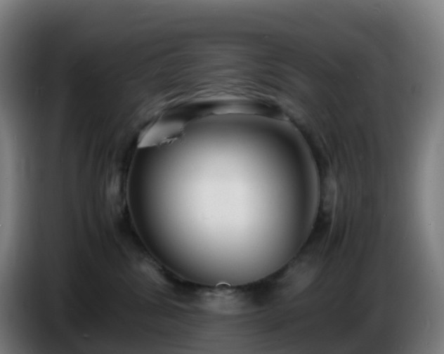 X0000086720428200704201630