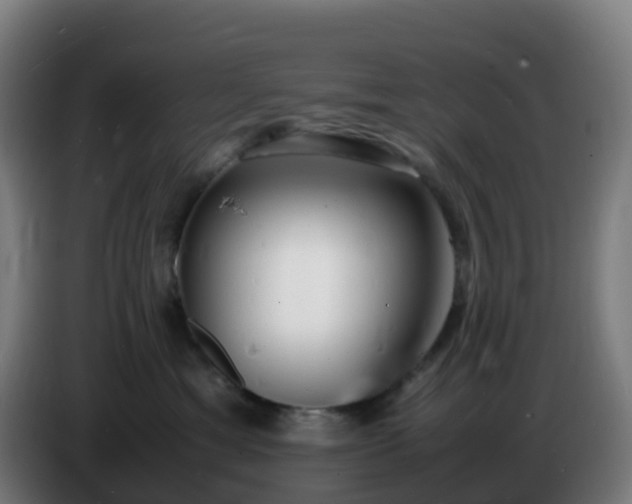 X0000086720429200704201630
