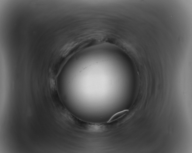 X0000086720432200704201630
