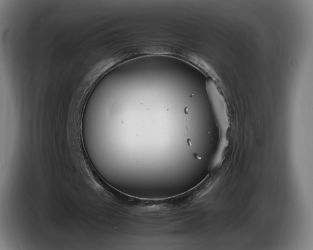 X0000086720433200704201629