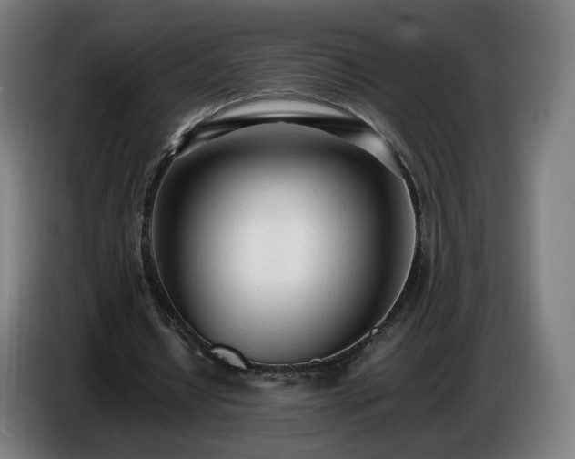 X0000086720434200704201629
