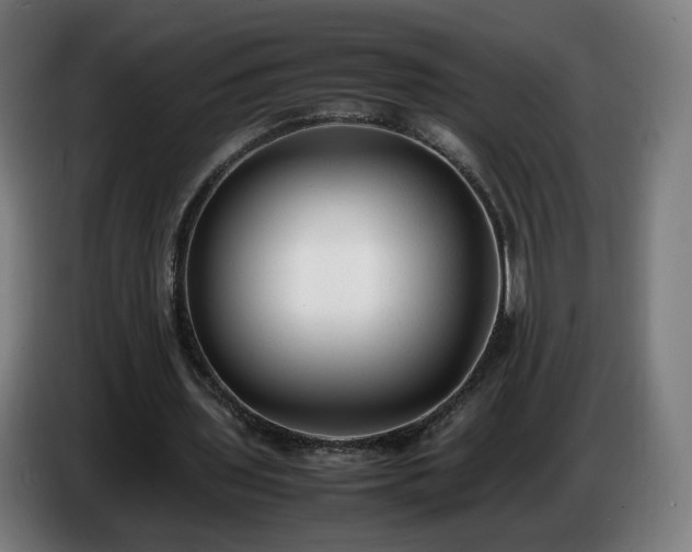 X0000086720435200704201629