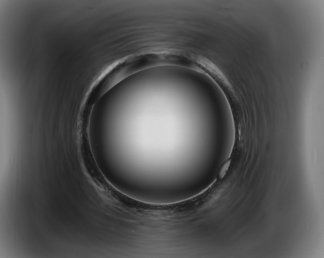 X0000086720436200704201629