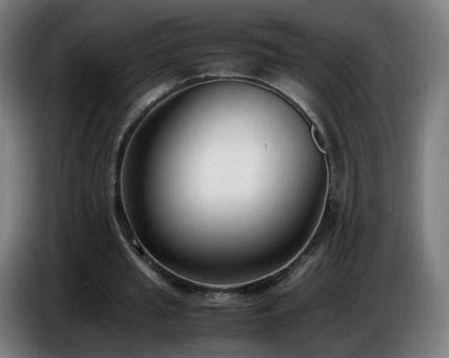 X0000086720437200704201629