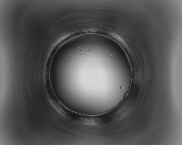 X0000086720439200704201629
