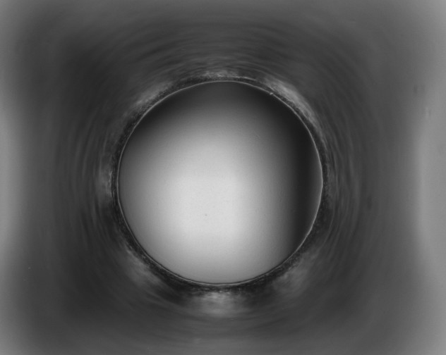 X0000086720441200704201629