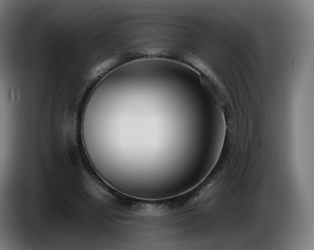 X0000086720442200704201629