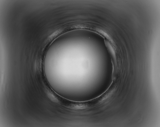X0000086720445200704201630