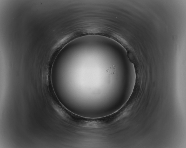 X0000086720446200704201630