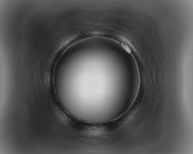 X0000086720447200704201630
