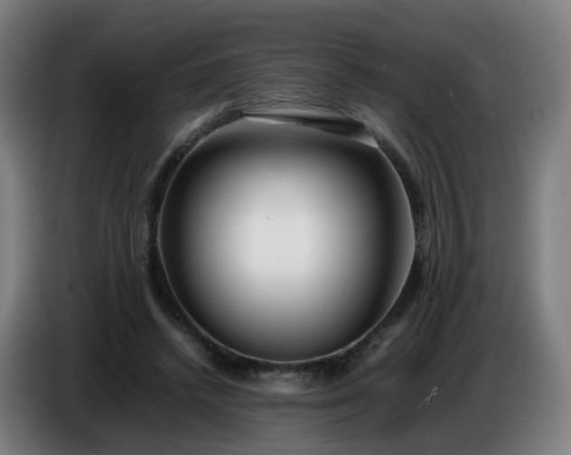 X0000086720448200704201630