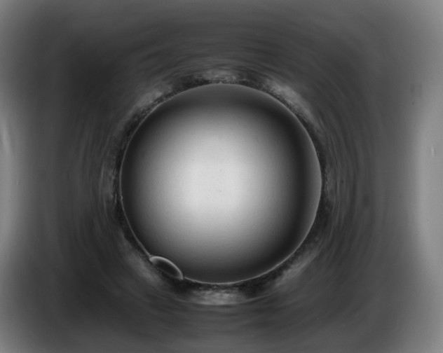 X0000086720449200704201630