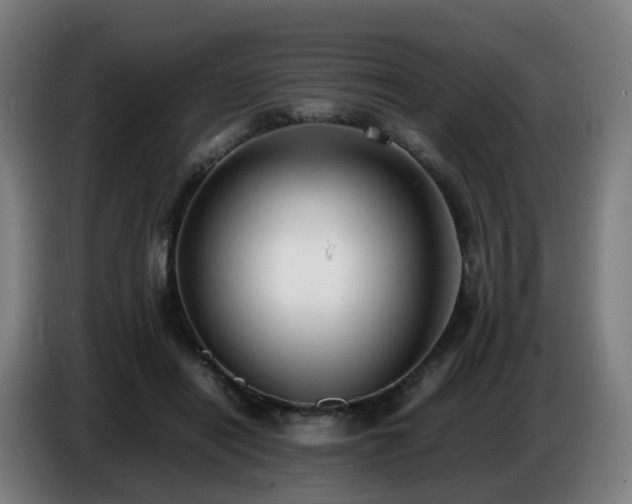 X0000086720454200704201630