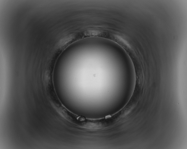X0000086720455200704201630