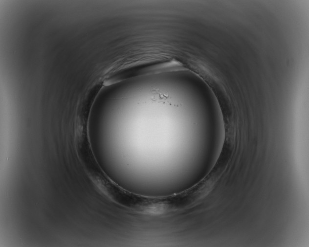 X0000086720456200704201630