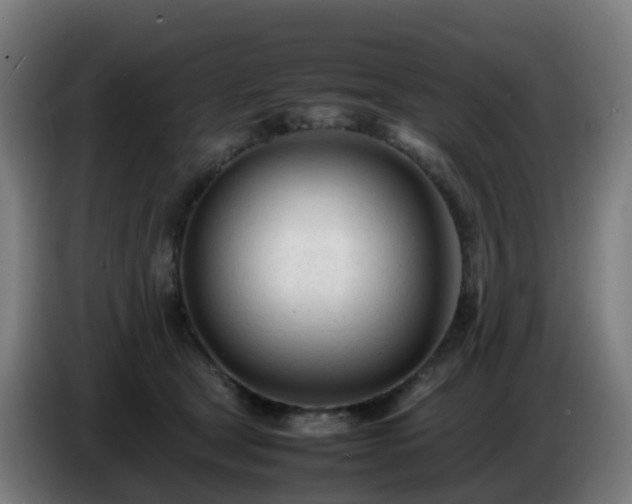 X0000086720465200704201630