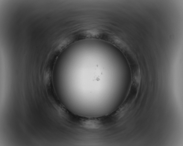 X0000086720468200704201630