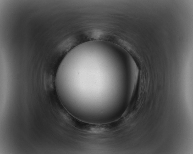 X0000086720470200704201630