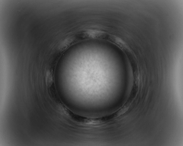 X0000086720471200704201630