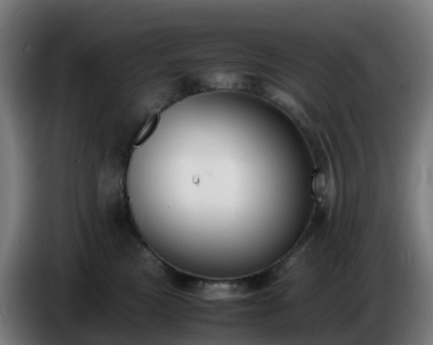 X0000086720473200704201630