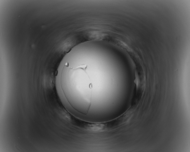 X0000086720474200704201630