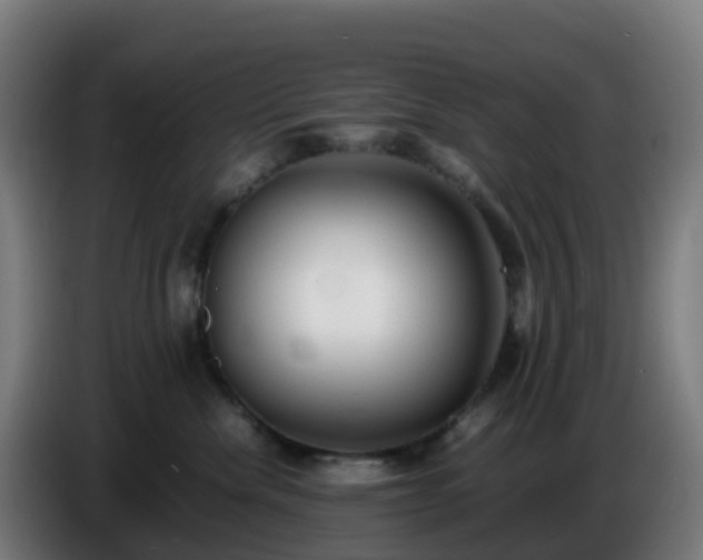 X0000086720476200704201630