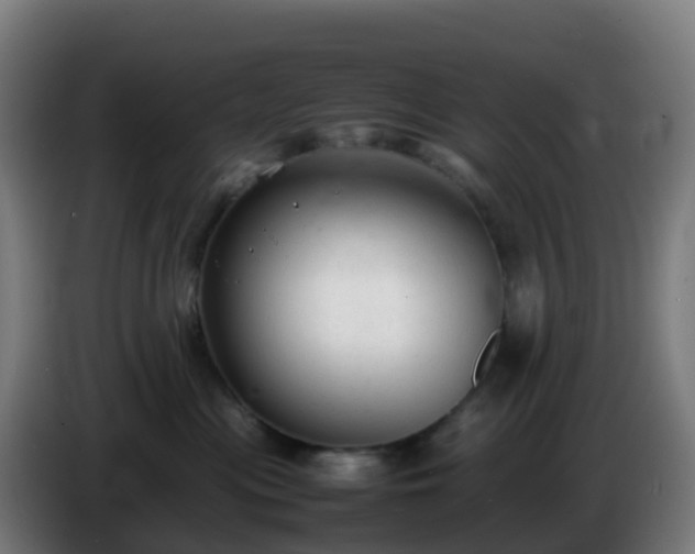 X0000086720477200704201630