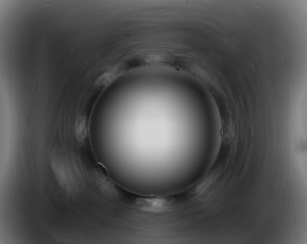 X0000086720478200704201630