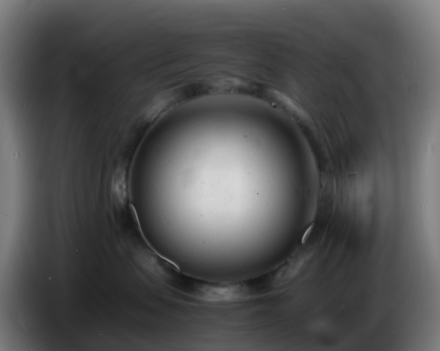 X0000086720479200704201630
