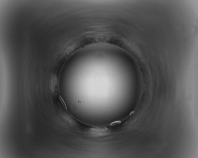 X0000086720480200704201630