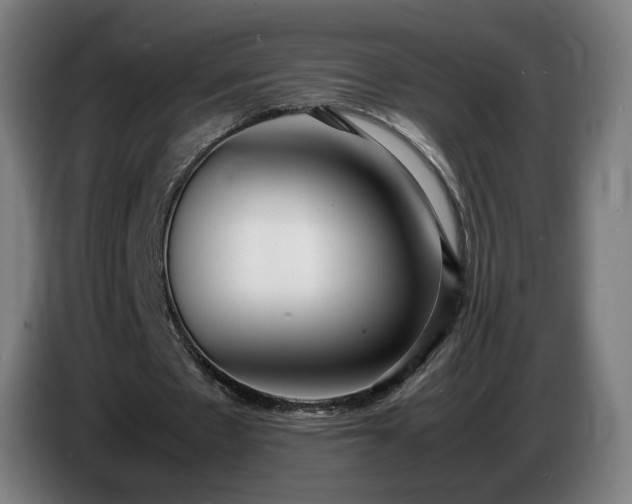 X0000086720481200704201629