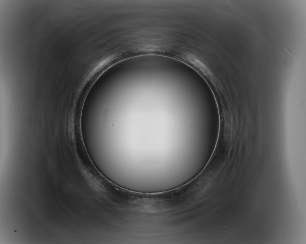 X0000086720482200704201629