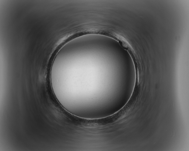 X0000086720483200704201629