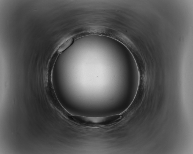 X0000086720484200704201629