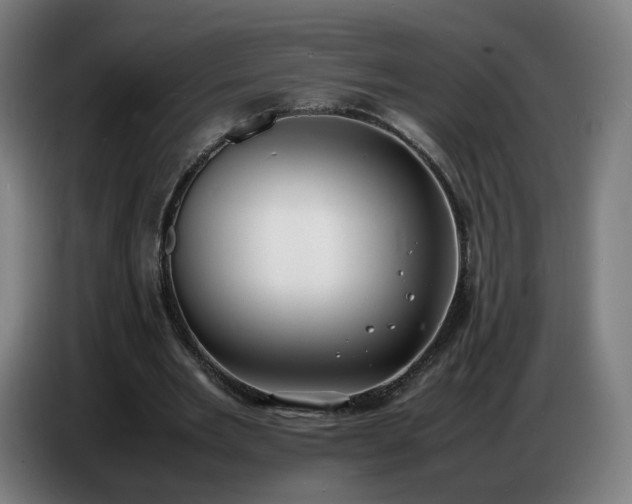 X0000086720485200704201629
