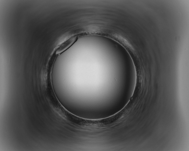 X0000086720488200704201629