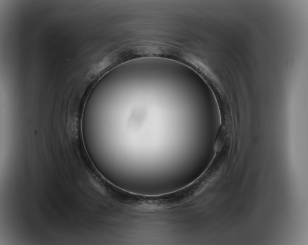 X0000086720489200704201629