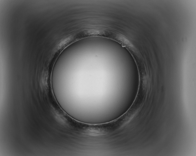 X0000086720490200704201629