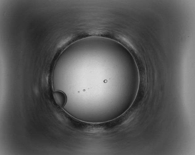 X0000086720491200704201629