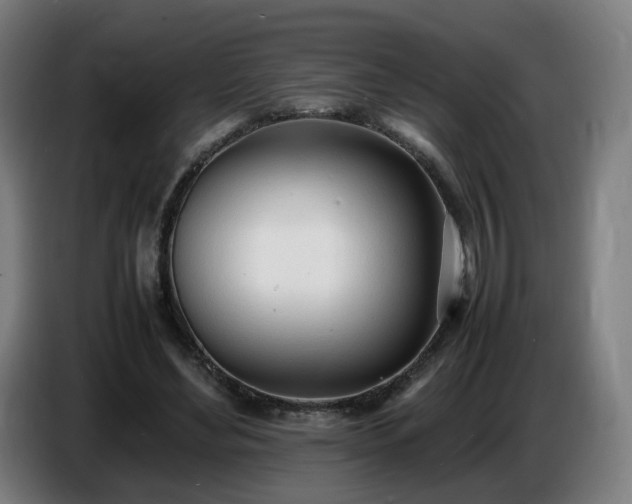 X0000086720492200704201629