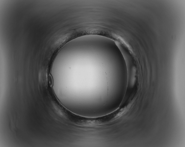 X0000086720493200704201629