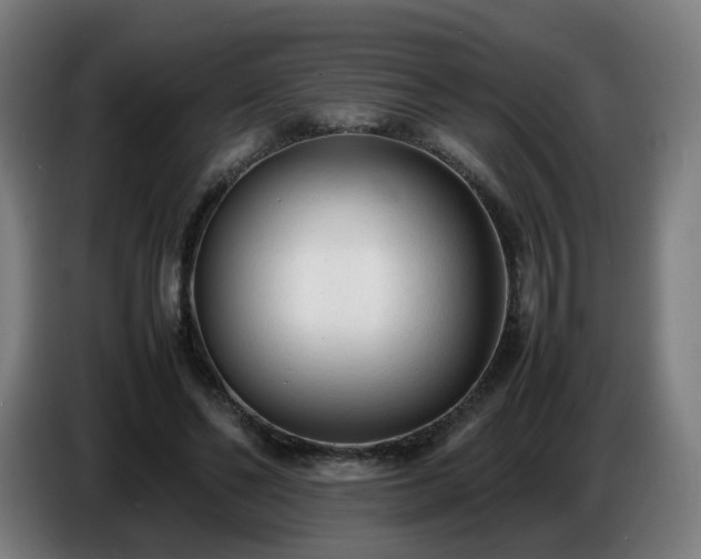 X0000086720494200704201629