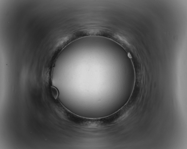 X0000086720495200704201629