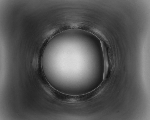 X0000086720496200704201629