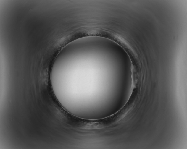 X0000086720497200704201629