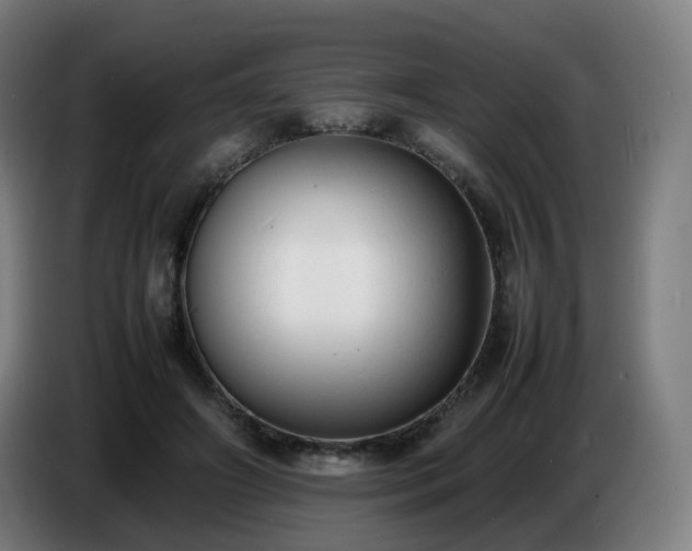 X0000086720498200704201629