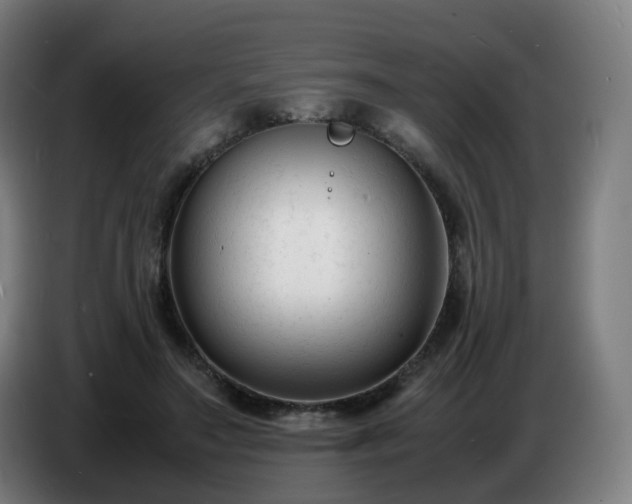X0000086720499200704201629