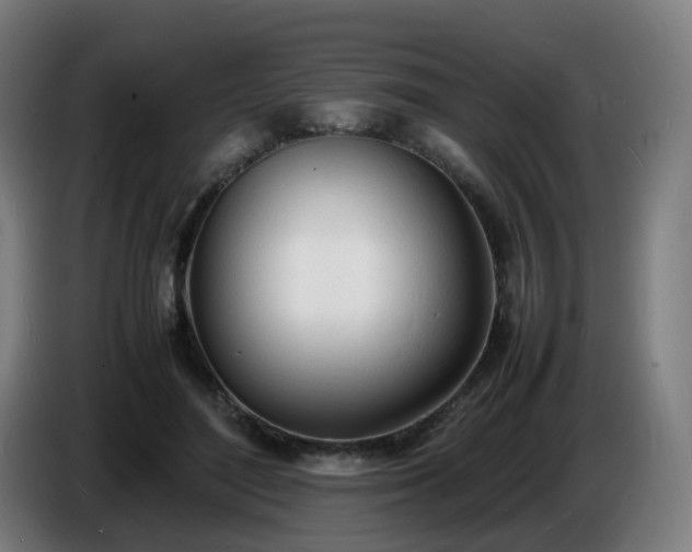 X0000086720500200704201629