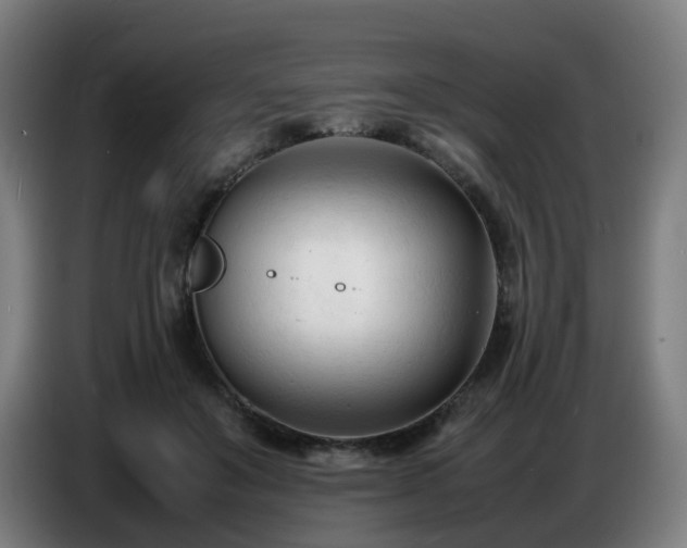 X0000086720503200704201629
